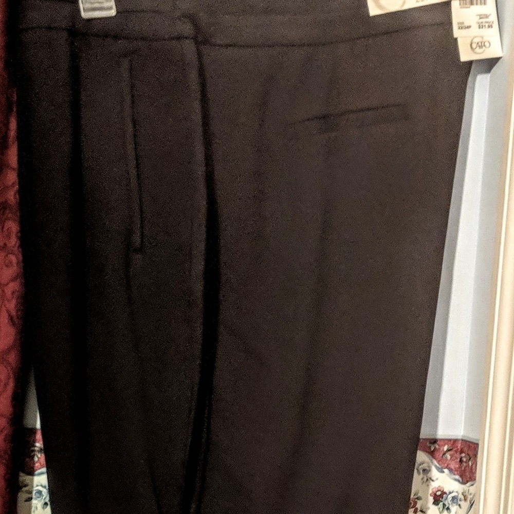 Lady's pants